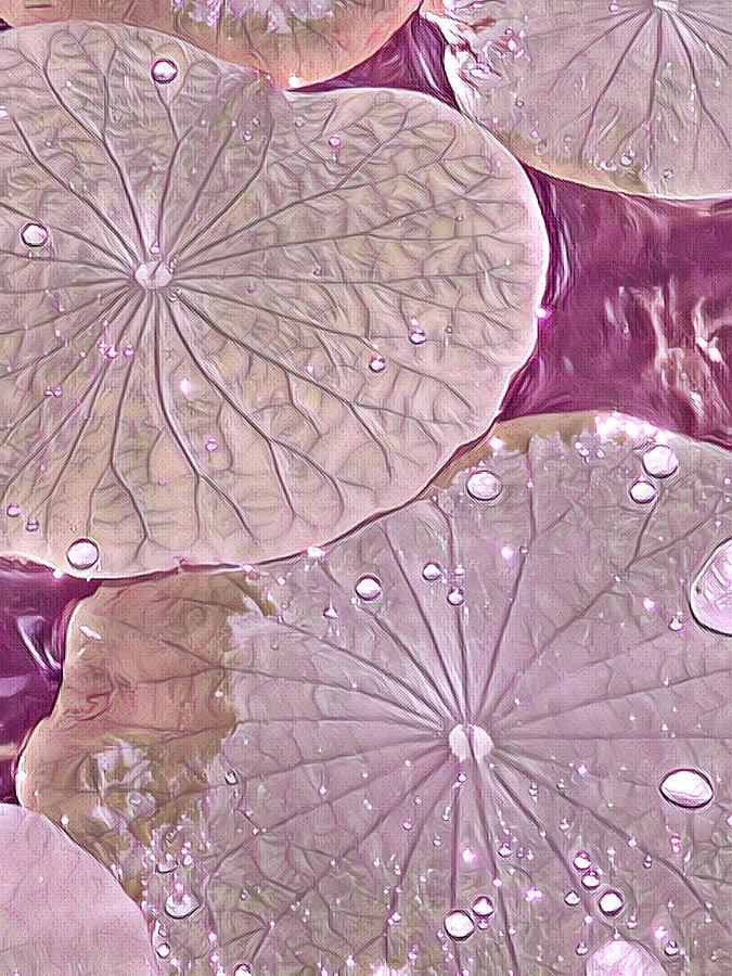 Lotus leaf, pink Photograph by Gini Moore