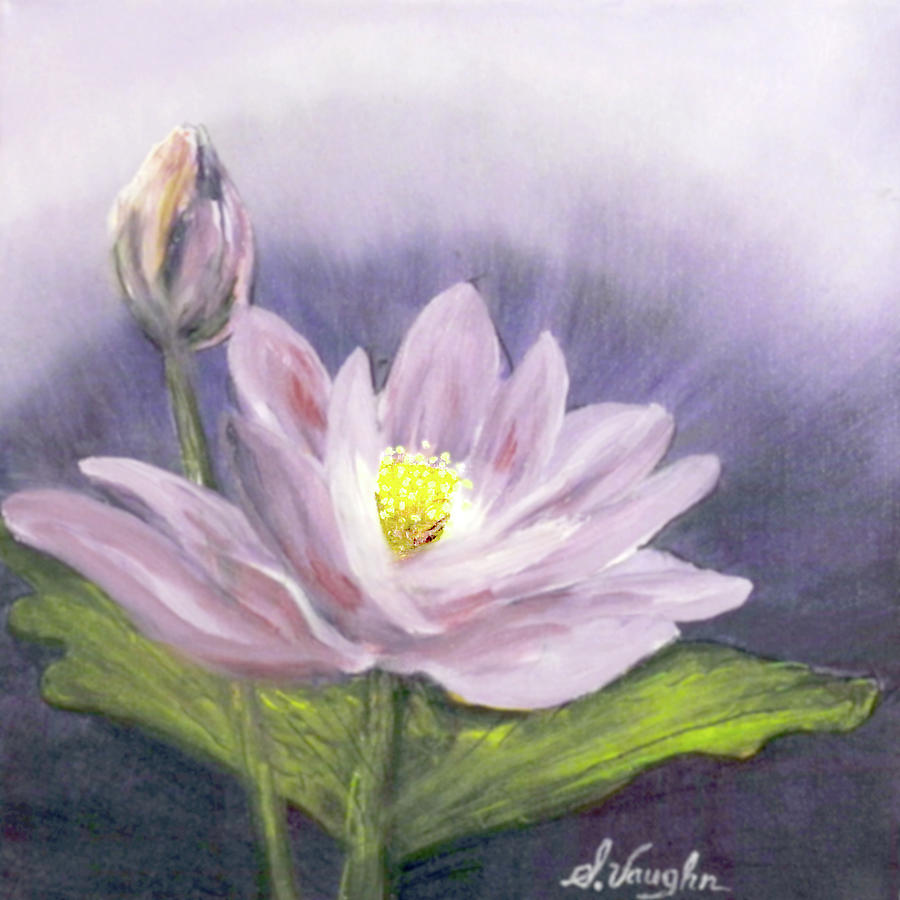 Lotus, National flower of Malawi Painting by Sidney Vaughn | Pixels