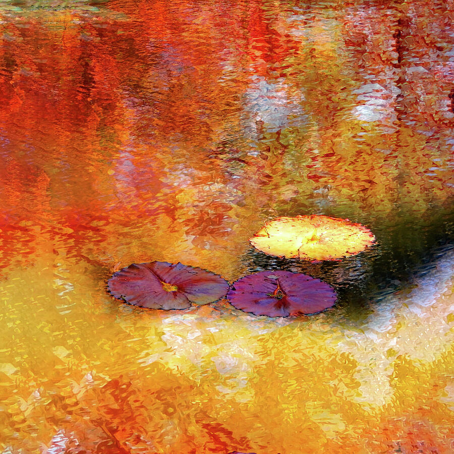 Lotus Pads In Fall Square Painting