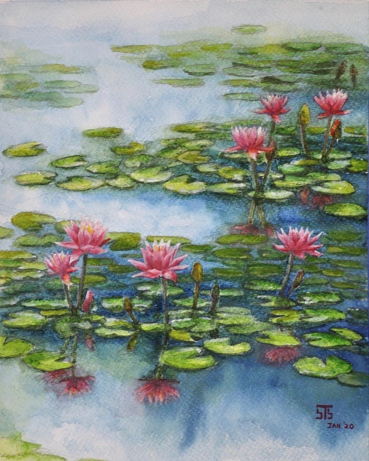 lotus pond