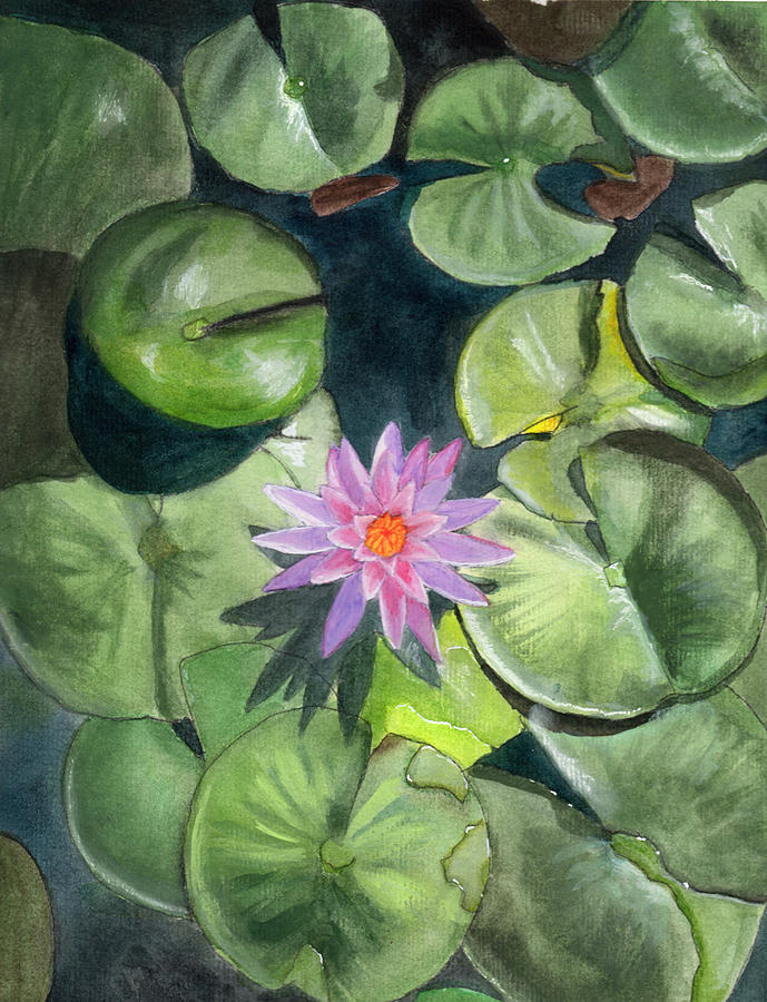 Lotus Pond Painting by Tarah McAndrews - Fine Art America