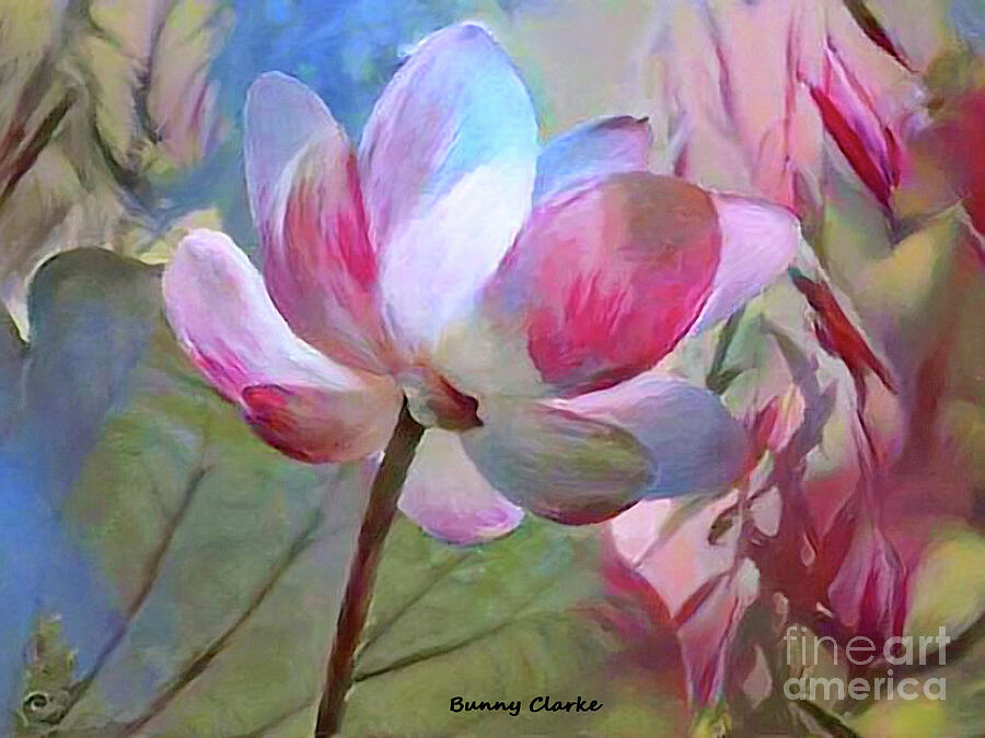 Lotus Visions Digital Art by Bunny Clarke