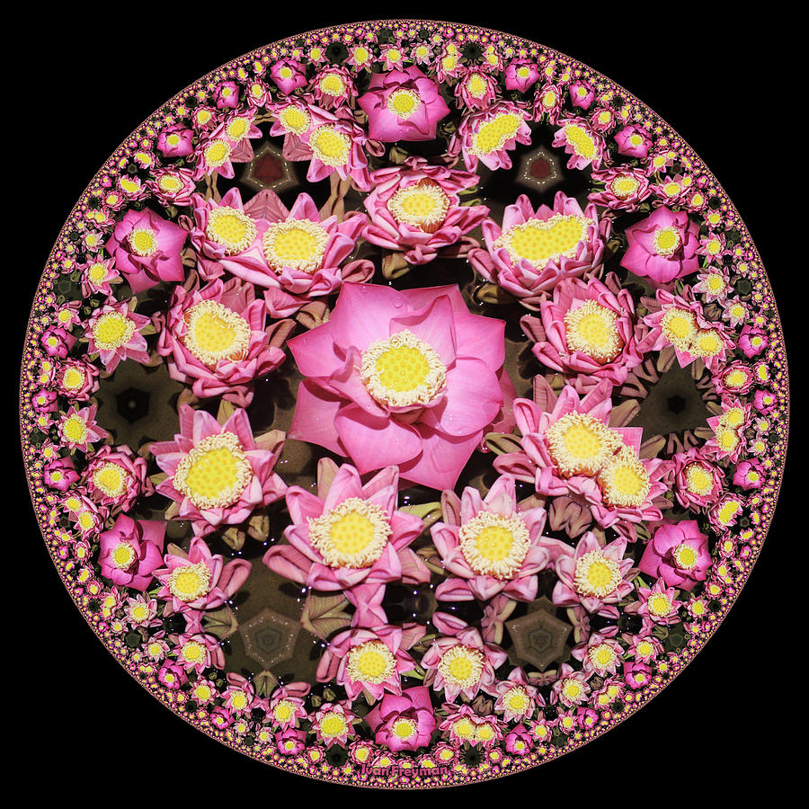 Flower Digital Art - Lotus Wheel by Ivan Freyman