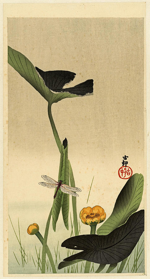 Lotus Wording, Ohara Koson, C. 1900 - C. 1930 Painting