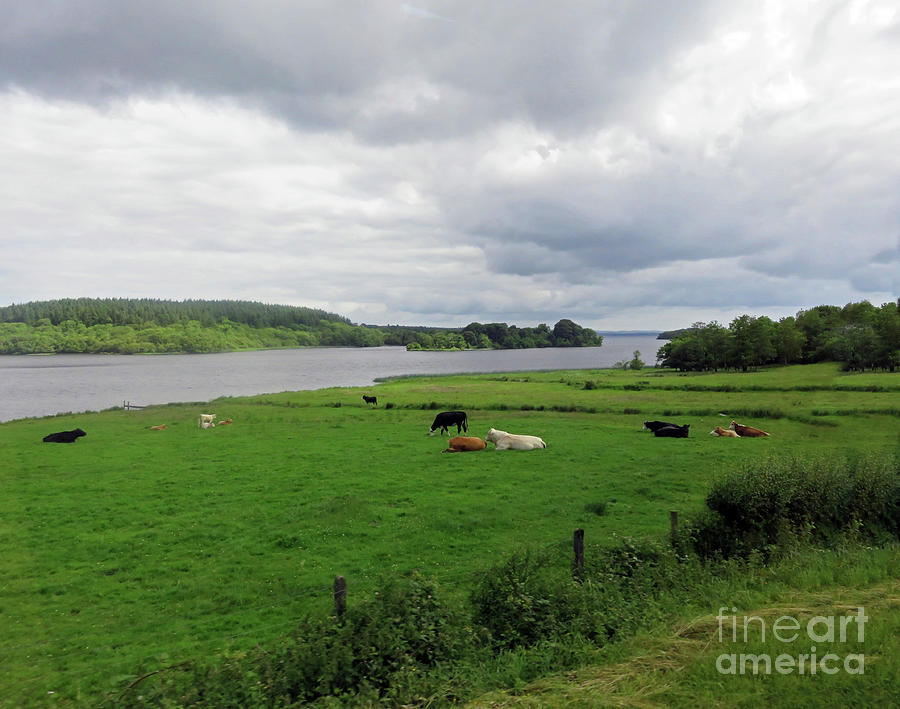 Lough Erne Photograph by Cindy Murphy