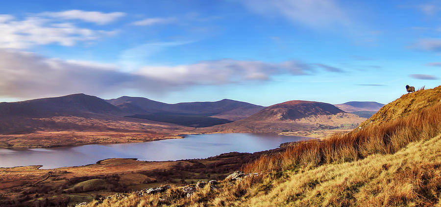 Lough Feeagh and Nephin Mountains, Mayo, Ireland Photograph by Adrian ...