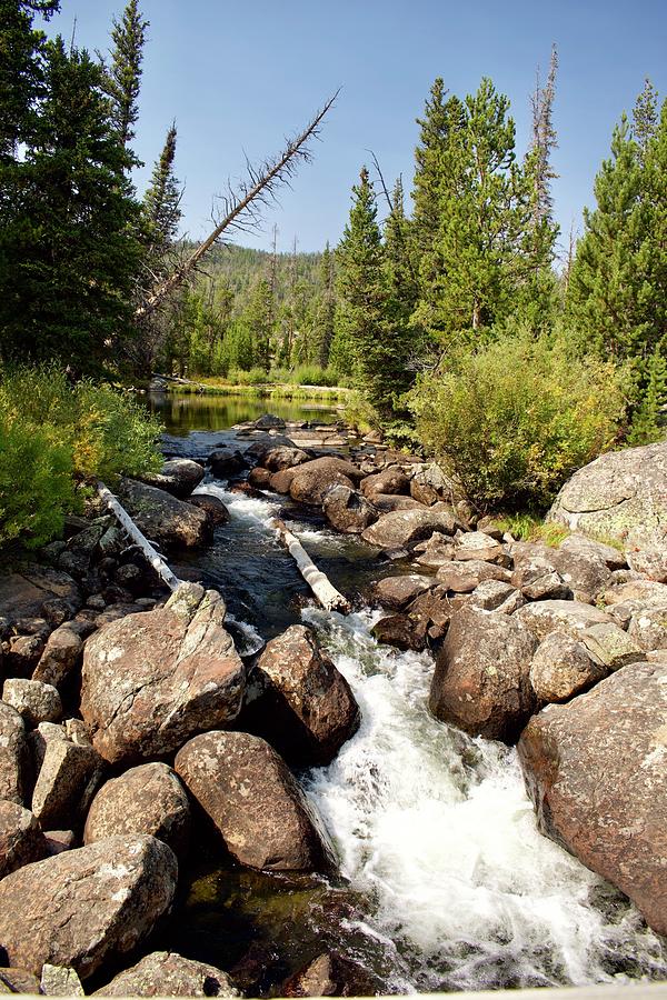 Louis Creek Photograph by Terence Gandy - Pixels