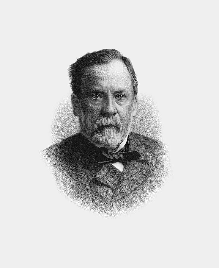 Louis Pasteur Engraved Portrait Drawing by War Is Hell Store