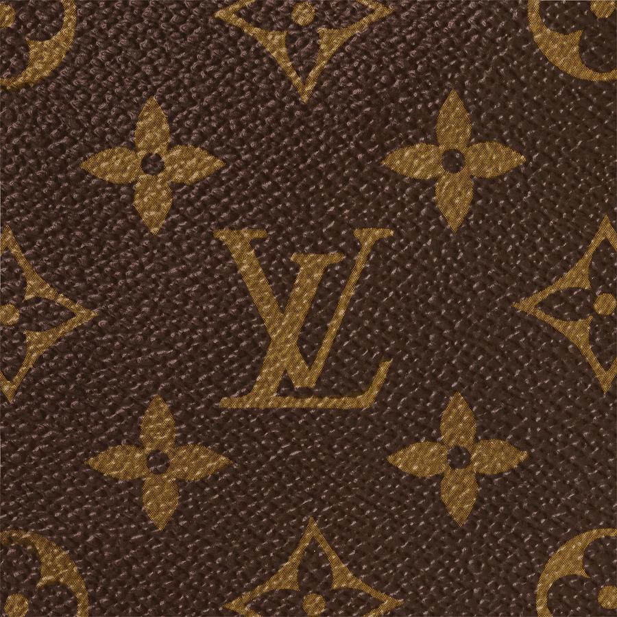 mus spørge Interesse Louis Vuitton Classic Fabric Monogram Painting by Wonder Photos