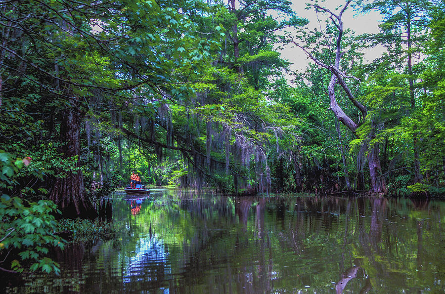 Louisiana Bayou Fisherman Photograph by James C Richardson