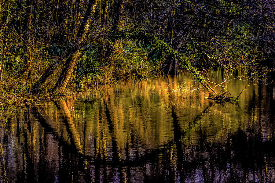 Sunset Photograph - Louisiana Cypress Mirror Reflections by Norma Brandsberg