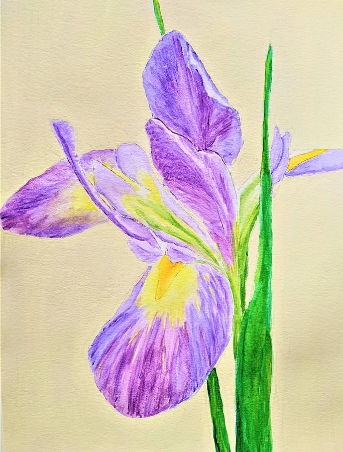 Louisiana Iris Painting by Julie Leyer | Fine Art America