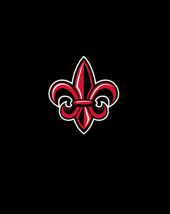 ragin cajuns hoodie