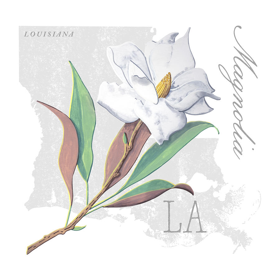 Louisiana State Flower Magnolia Art by Jen Montgomery Painting by Jen Montgomery