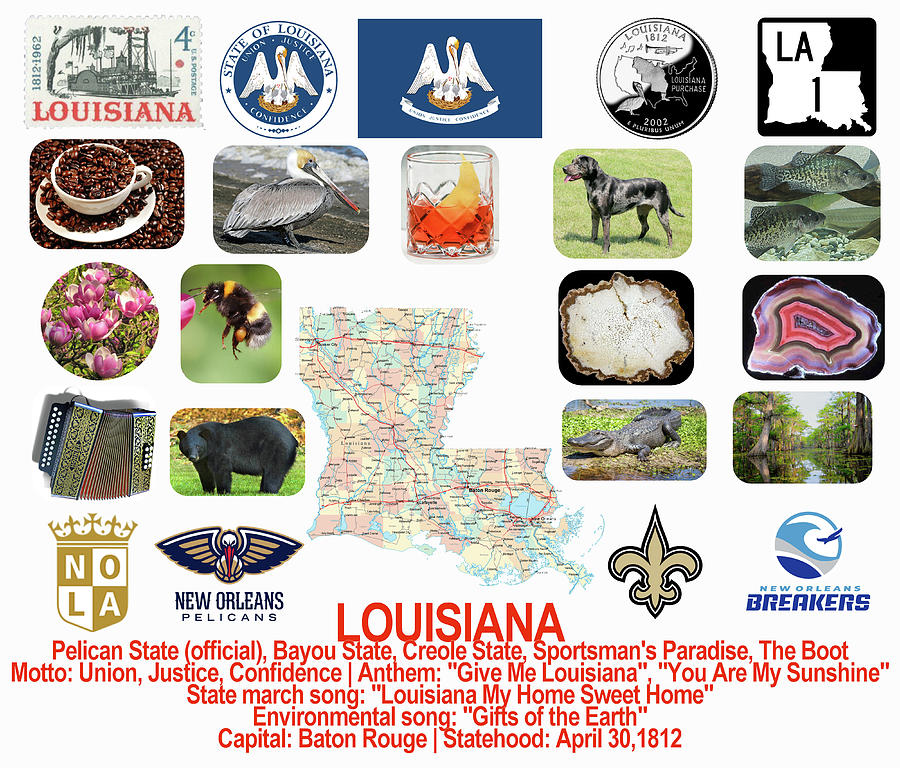 Louisiana State Symbols Photograph by Robert Banach - Fine Art America