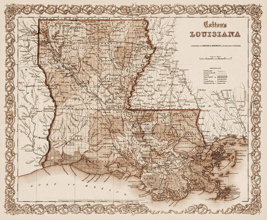 New Orleans Photograph - Louisiana Vintage Map 1855 Sepia  by Carol Japp