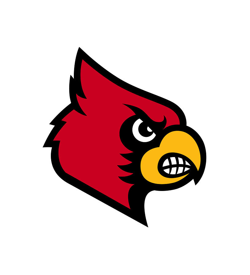 Louisville Cardinals Drawing by Michael Johnson - Pixels