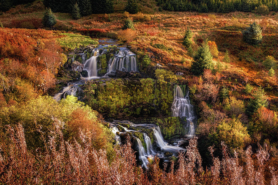 Loup of Fintry Photograph by Adam West