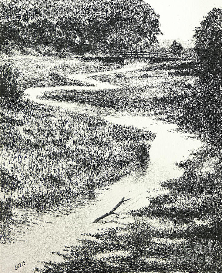 Lousiana Bayou Drawing by Garry McMichael Fine Art America