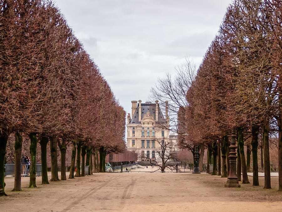 Louvre Museum, view from Tuileries Garden. Photograph by Katia Kovan ...