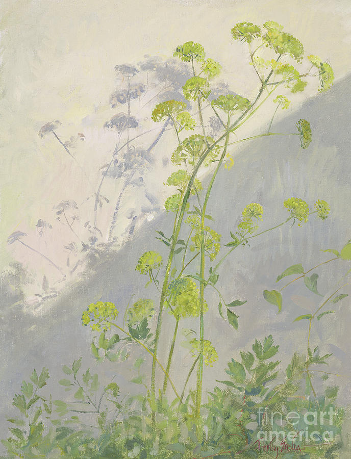 Lovage Against Diagonal Shadows Painting by Timothy Easton