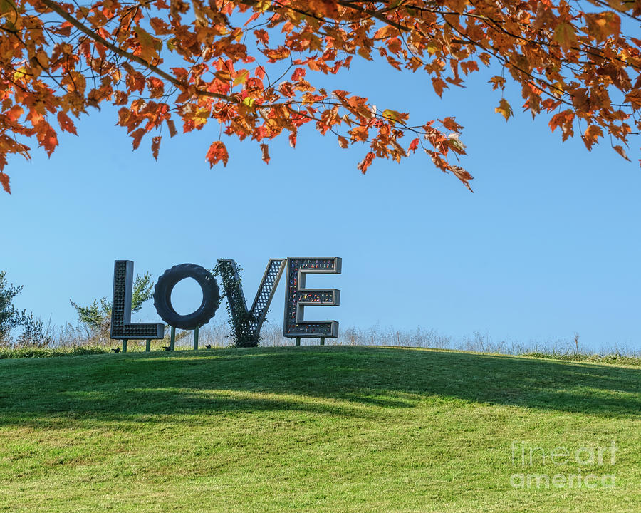 Love At Airlie Photograph