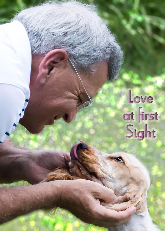 Love At First Sight-2 Photograph by Susan Molnar