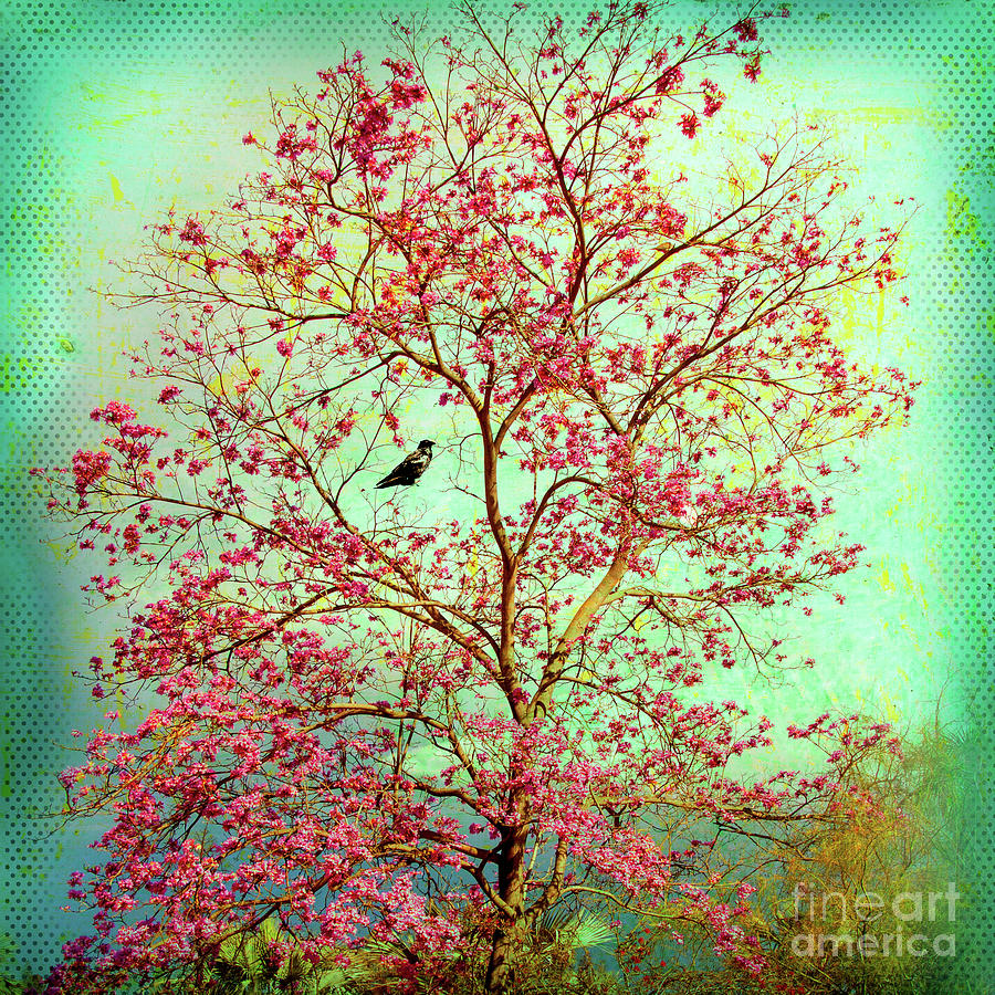 Love Bird - Turquoise Photograph by Denise Strahm