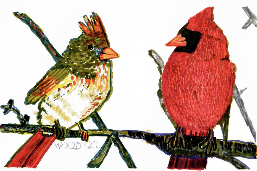 Cardinal Drawing - Love Birds by Ruth Anne Wood