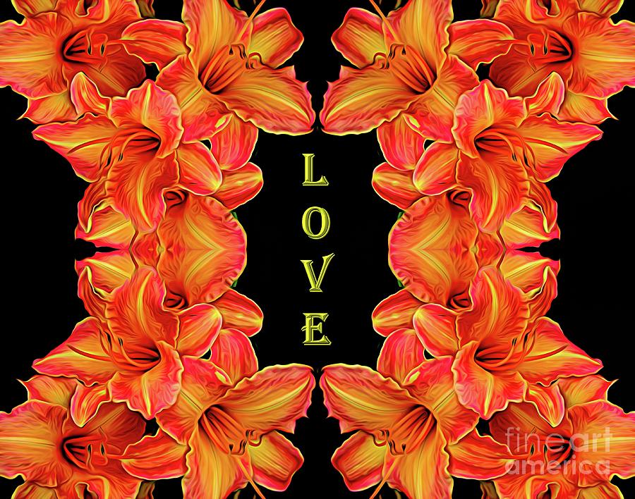 Love Daylilies Frame Abstract Expressionism Effect Photograph by Rose Santuci-Sofranko