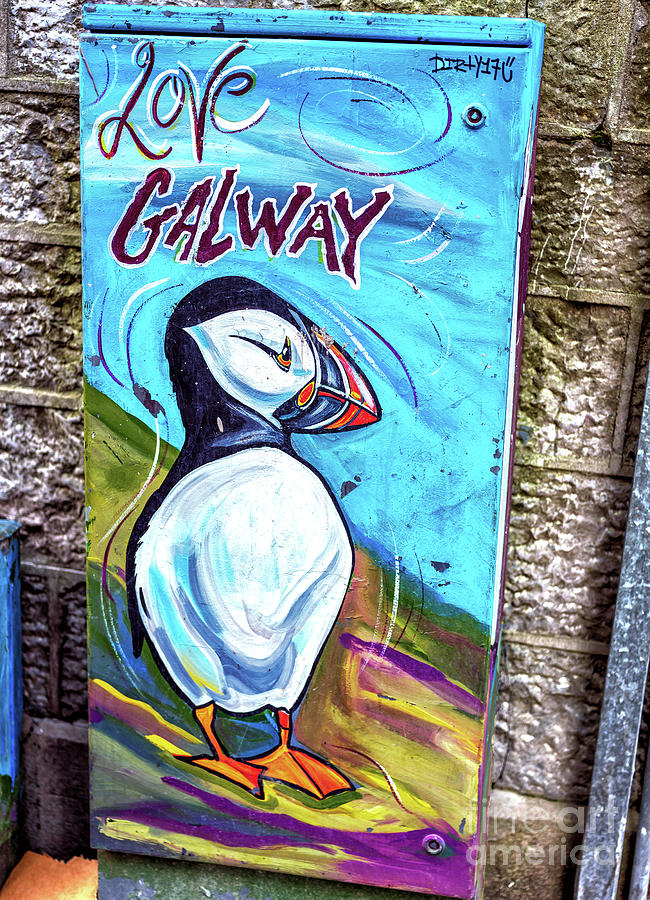 Love Galway Mural Photograph by John Rizzuto