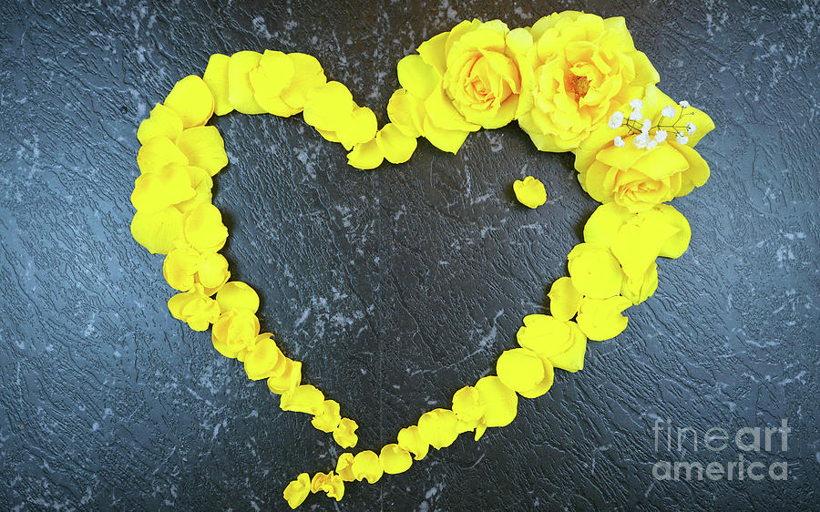 Love heart border made from fresh yellow roses and petals Photograph by Milleflore Images