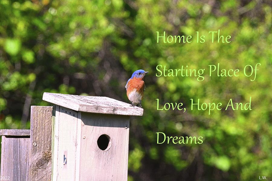 Bluebird Photograph - Love Hope And Dreams  by Lisa Wooten