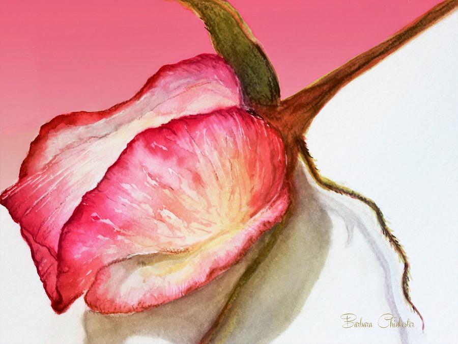 Love Is A Rosebud Painting by Barbara Chichester