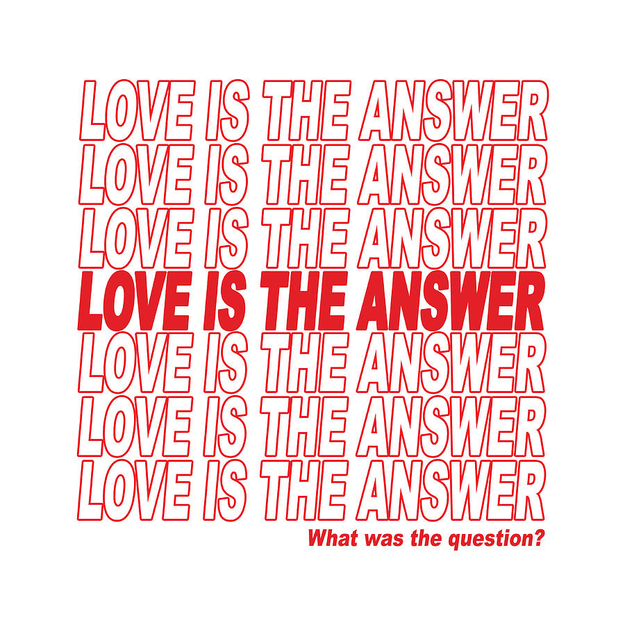 Love is the Answer - What was the Question Digital Art by Ginny Gaura