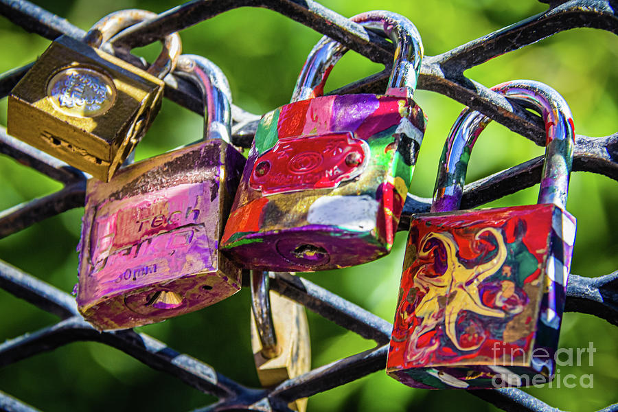 Love locks in El Calafate, Argentina Photograph by Lyl Dil Creations