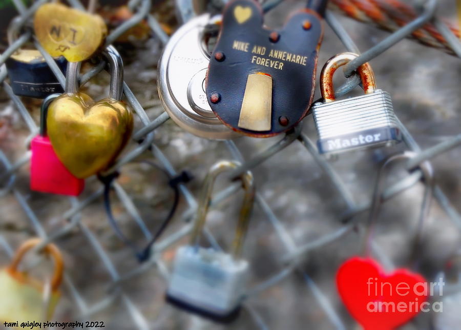 Love Locks Over The Monocacy Photograph by Tami Quigley