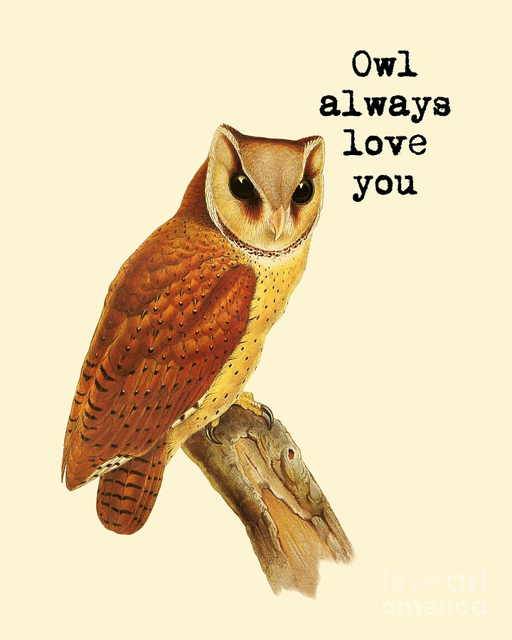 Owl Digital Art - Love Owl by Madame Memento