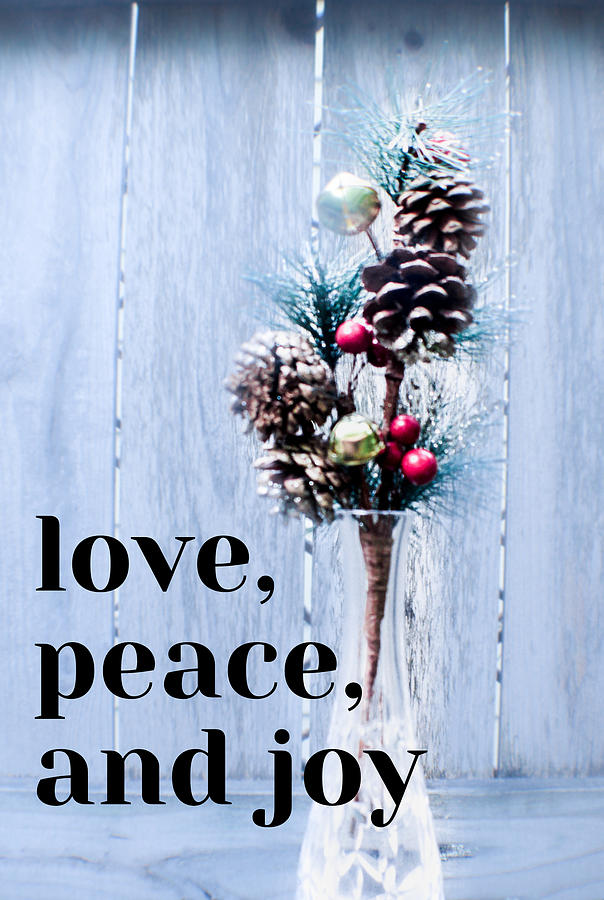 Love, Peace and Joy Photograph by W Craig Photography
