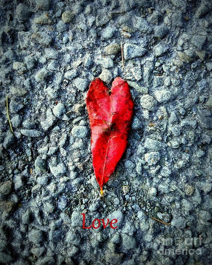 Love Red Heart Leaf on Stone Mixed Media by Janine Riley