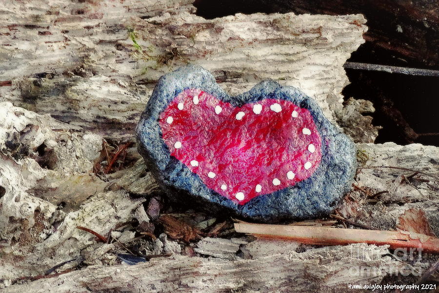 Love Rocks  Photograph by Tami Quigley