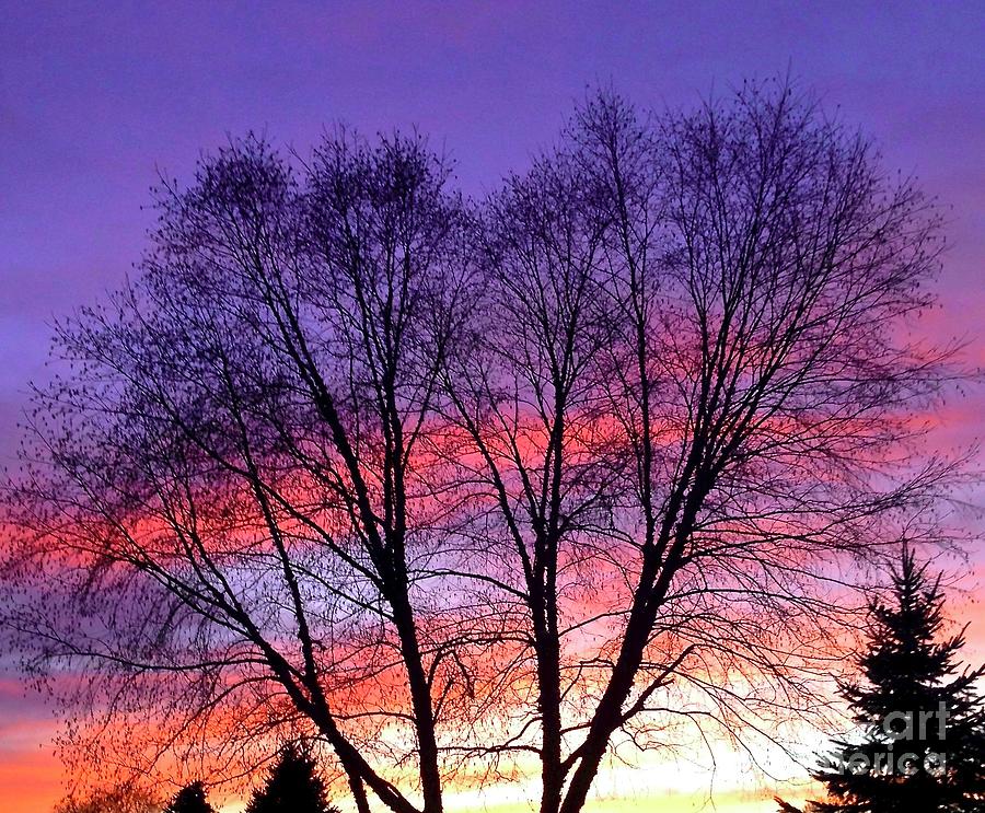Heart Sunset Photograph by Ann Brown