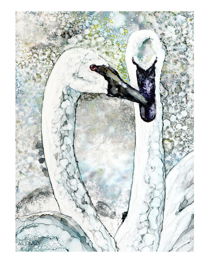 Love Swans Painting by Jan Killian