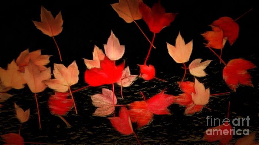 Red Autumn Leaves - Love Swept Away Photograph by Janine Riley