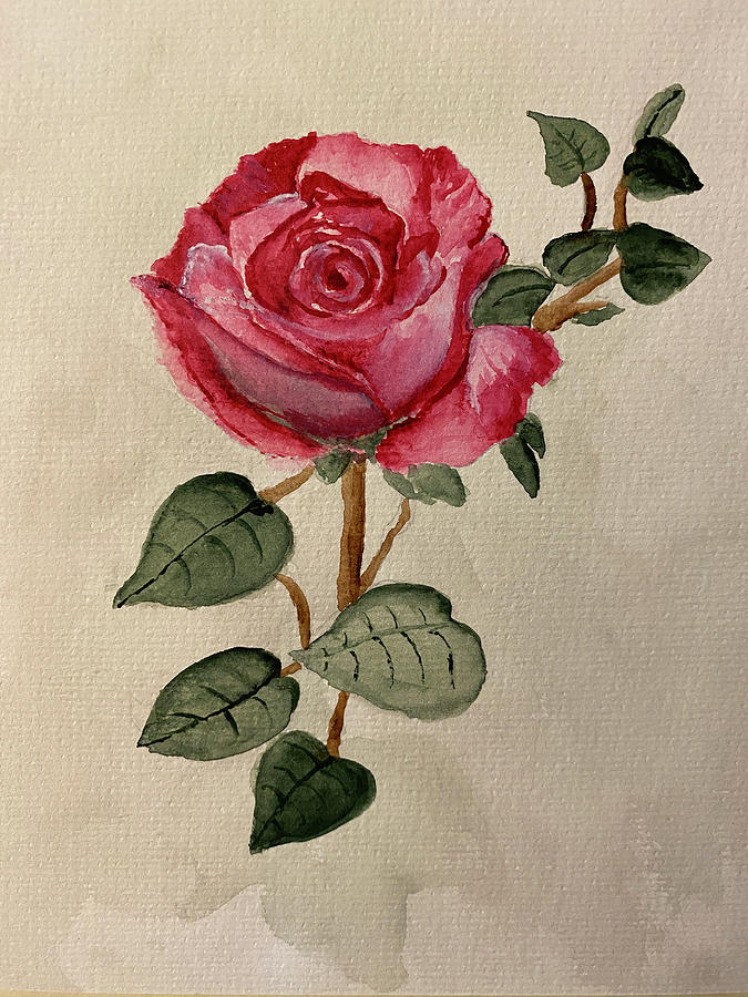 Love that Rose Painting by Connie Spencer