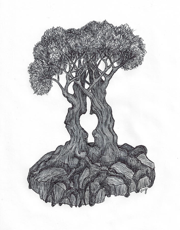 Love Trees Drawing by Teresamarie Yawn