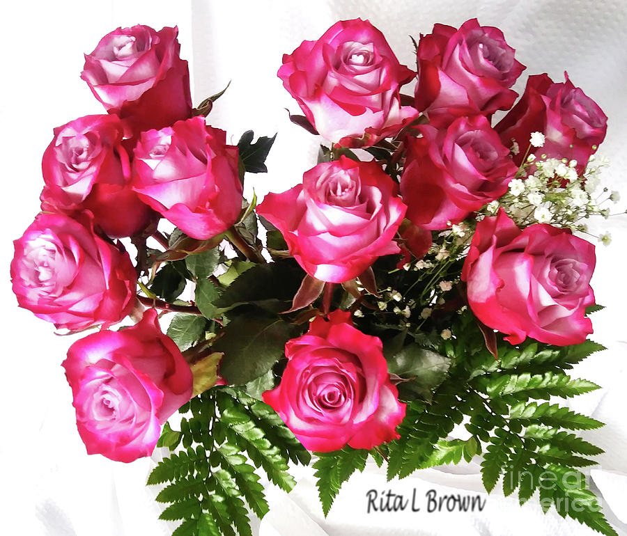 Love Twelve Roses  Photograph by Rita Brown