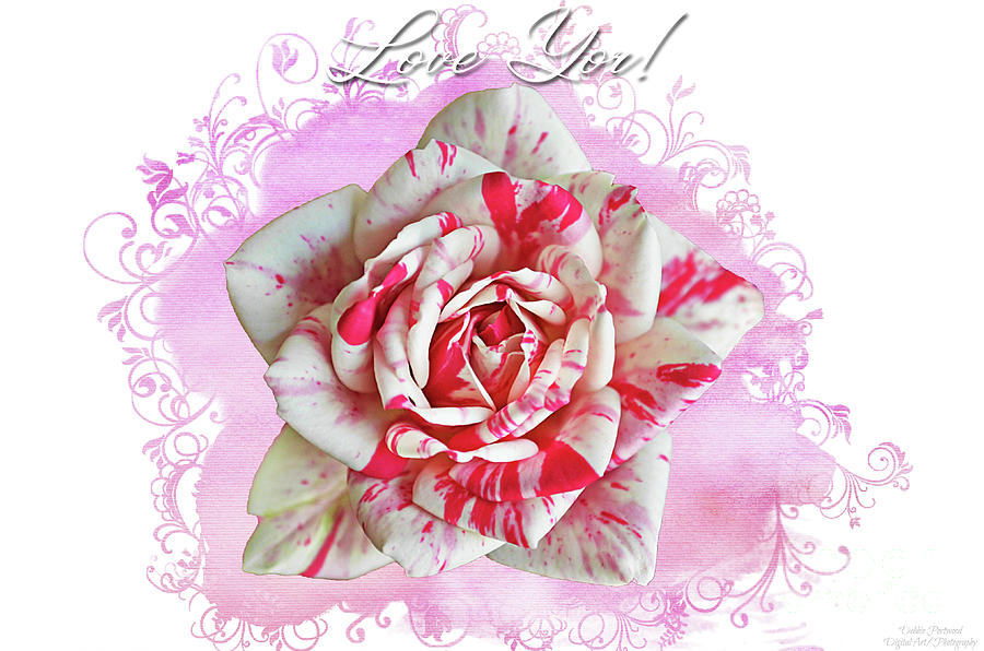 Love You Rose  Mixed Media by Debbie Portwood