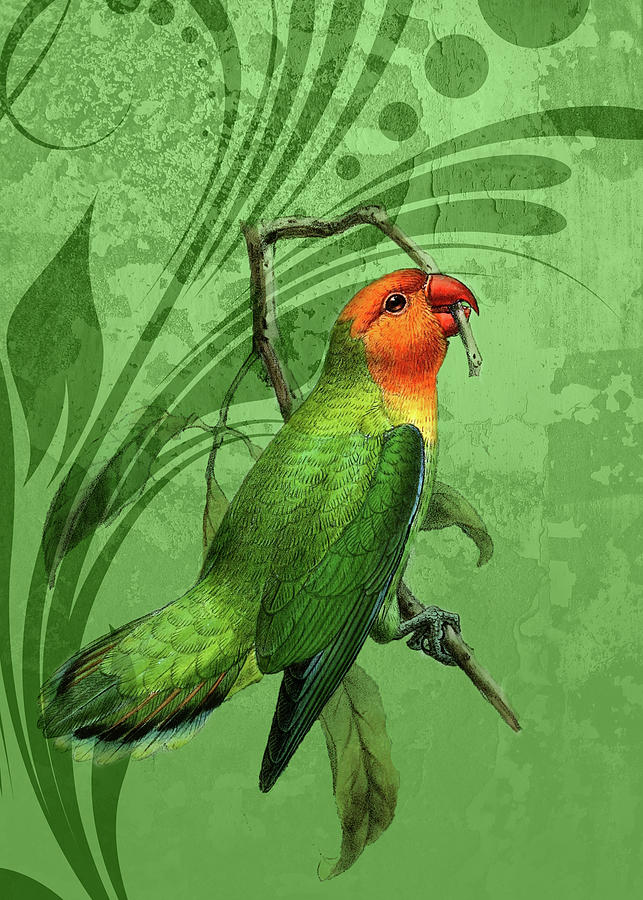  Lovebird Parakeet on Green Digital Art by Doreen Erhardt