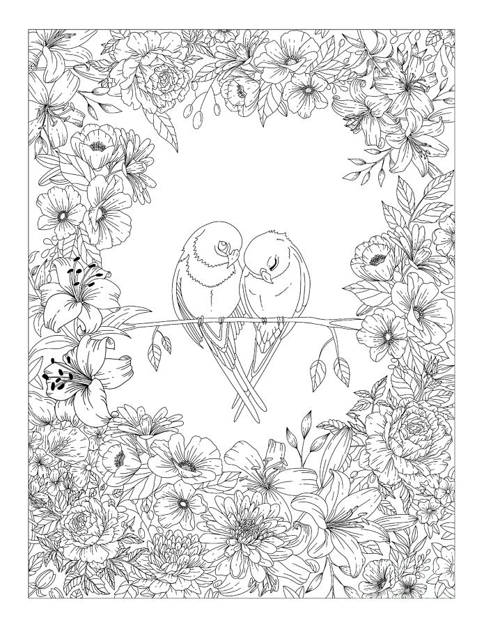 love bird coloring pages